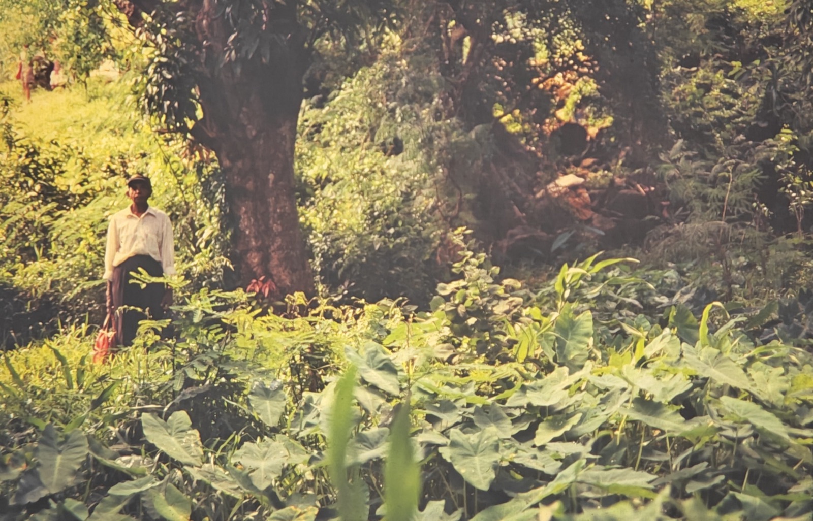 Birth of Talaymahaur